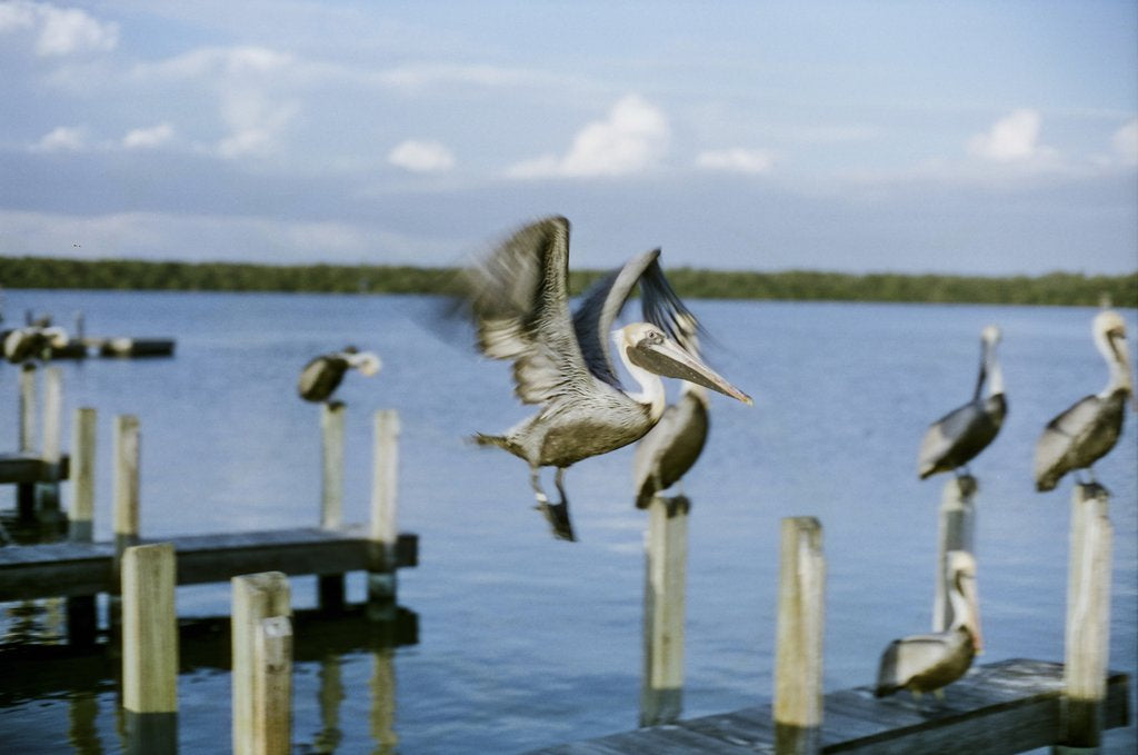 CineStill 50D daylight / 135 - 36exp.